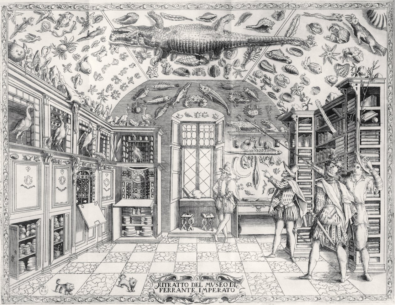 Het Natuurhistorisch Museum van Keizer Ferdinand III uit Historia Naturale door Ferrante Imperato (1550-1631) gepubliceerd in 1672 door Italian School