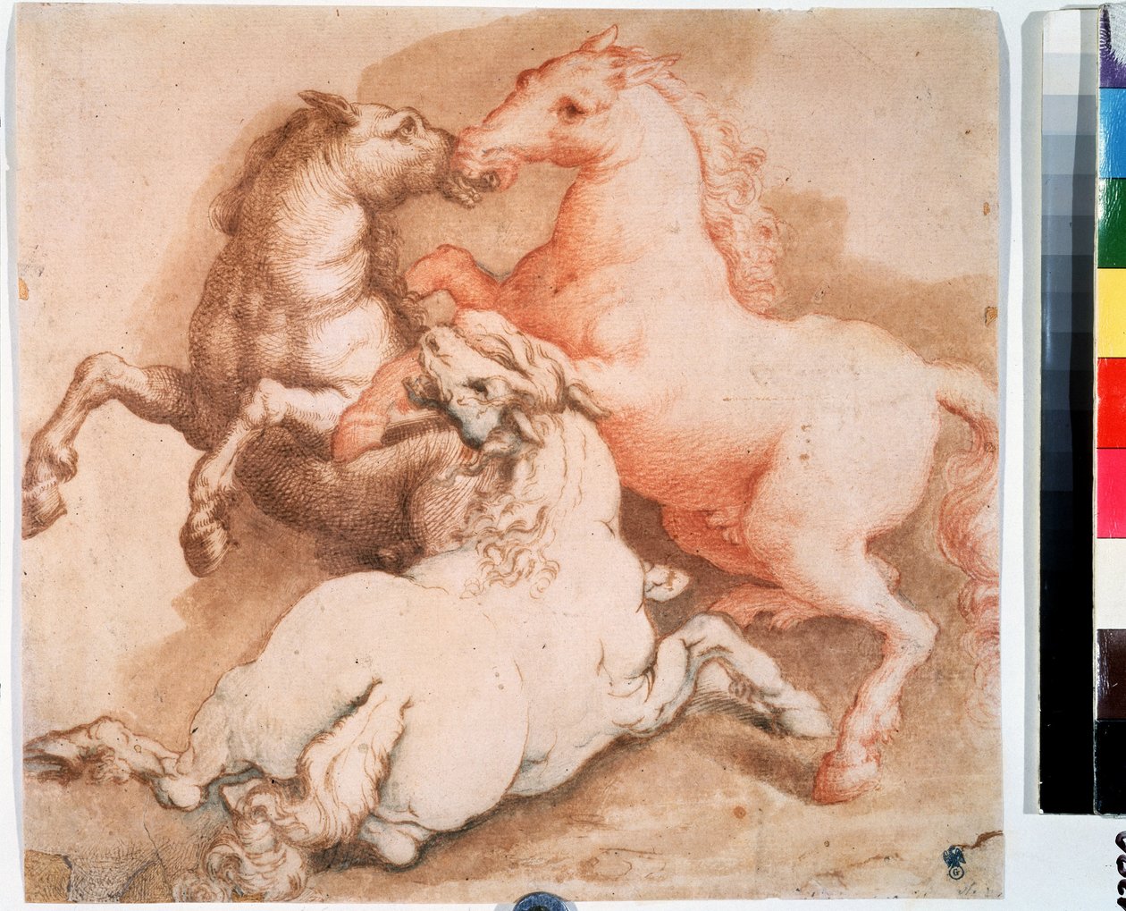 Een gevecht van paarden door Italian School