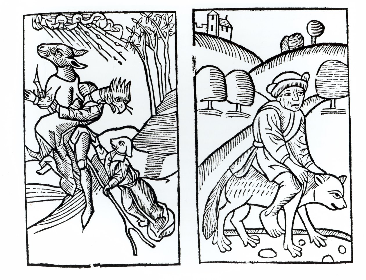 Heksen vermomd als dieren die op een bezemsteel rijden (links) en mannelijke heks die op een wolf rijdt (rechts), kopieën van illustraties uit Compendium Maleficarum door Fr M Guaccius, Milaan 1608, gebruikt in History of Magic door Italian School