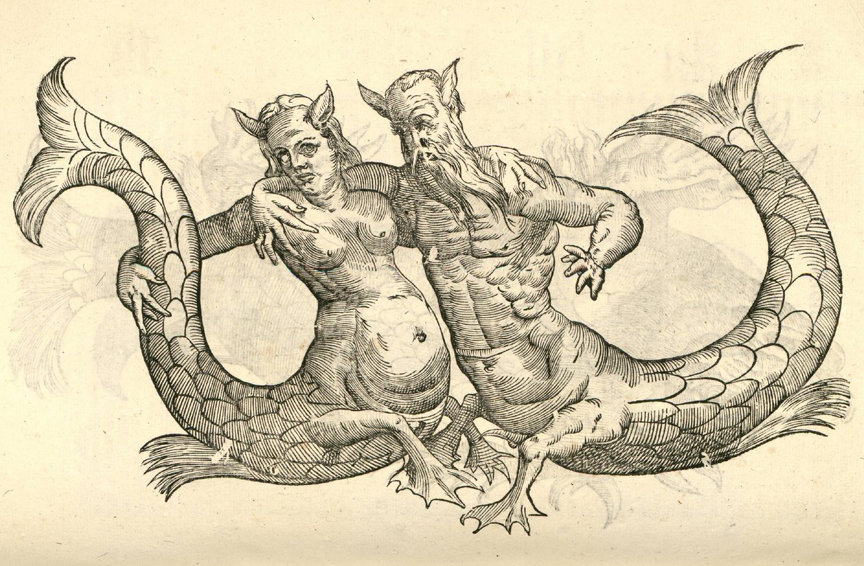 Illustratie van Monstra Niliaca Parei uit Aldrovandis Geschiedenis van Monsters, 1642 door Italian School