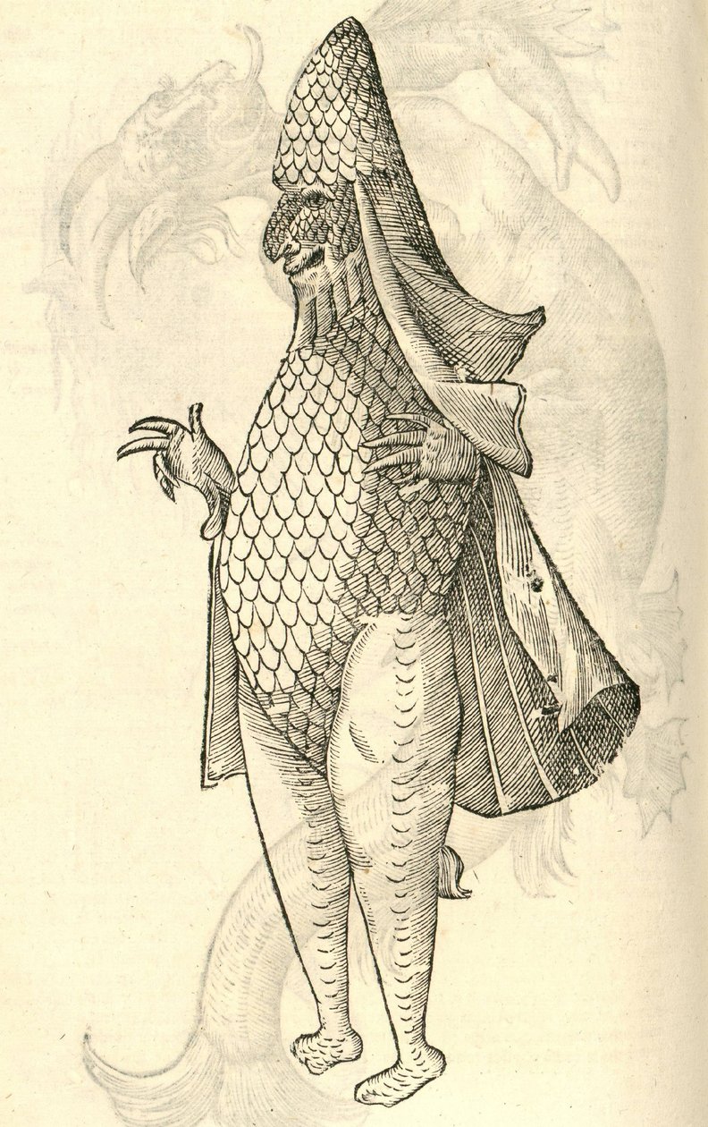Illustratie van Monstrum Marinum rudimenta habitus Episcopi referens uit Aldrovandi