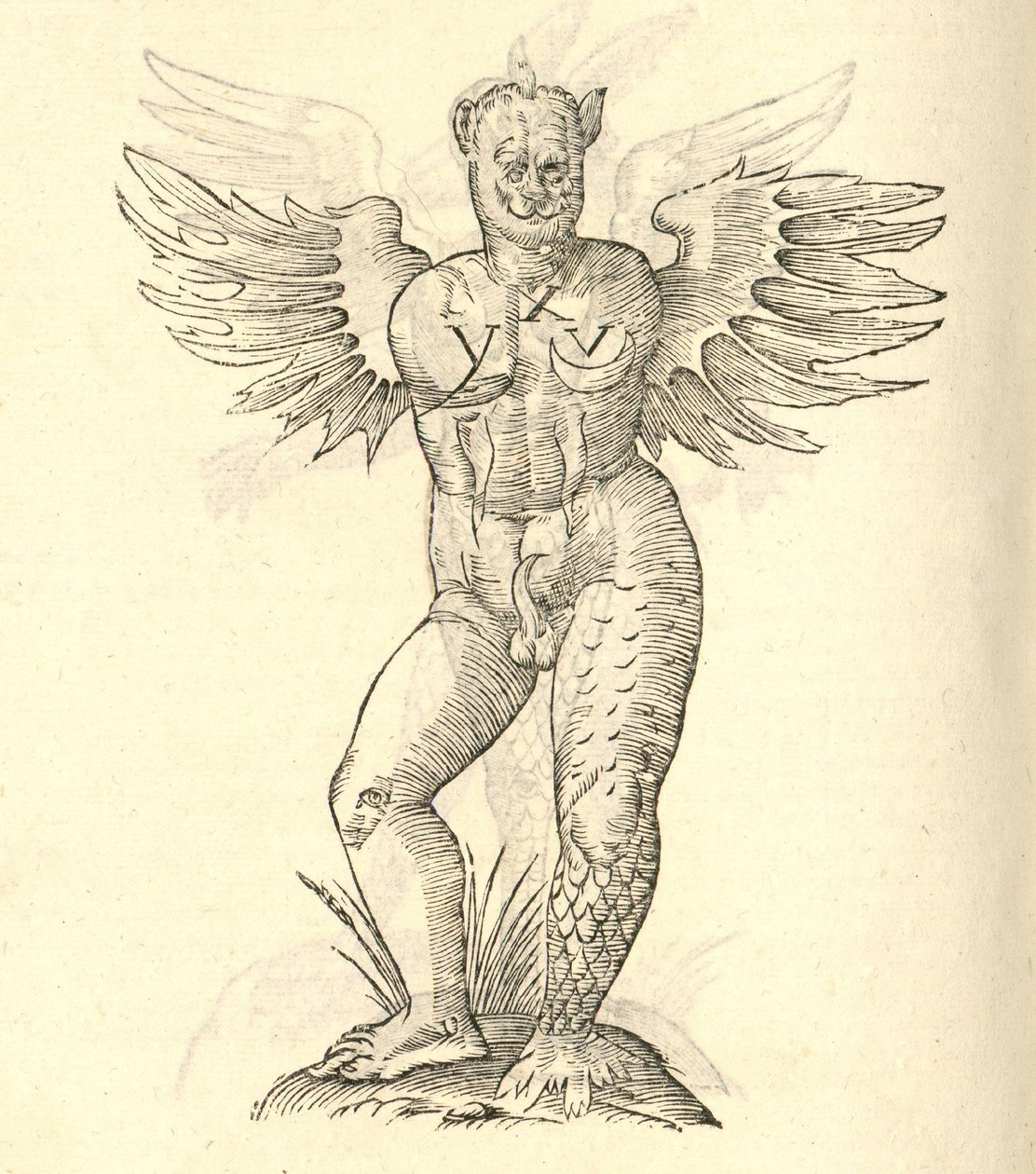 Illustratie van Monstrum cornutum, en alatum aliud uit Aldrovandis Geschiedenis van Monsters, 1642 door Italian School