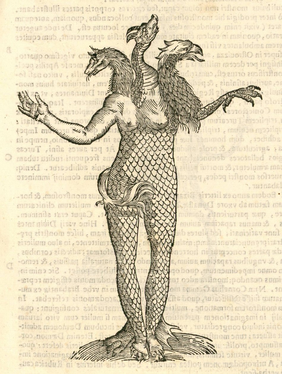 Illustratie van Monstrum triceps capite Vulpis, Draconis, & Aquilae uit Aldrovandis Geschiedenis van Monsters, 1642 door Italian School