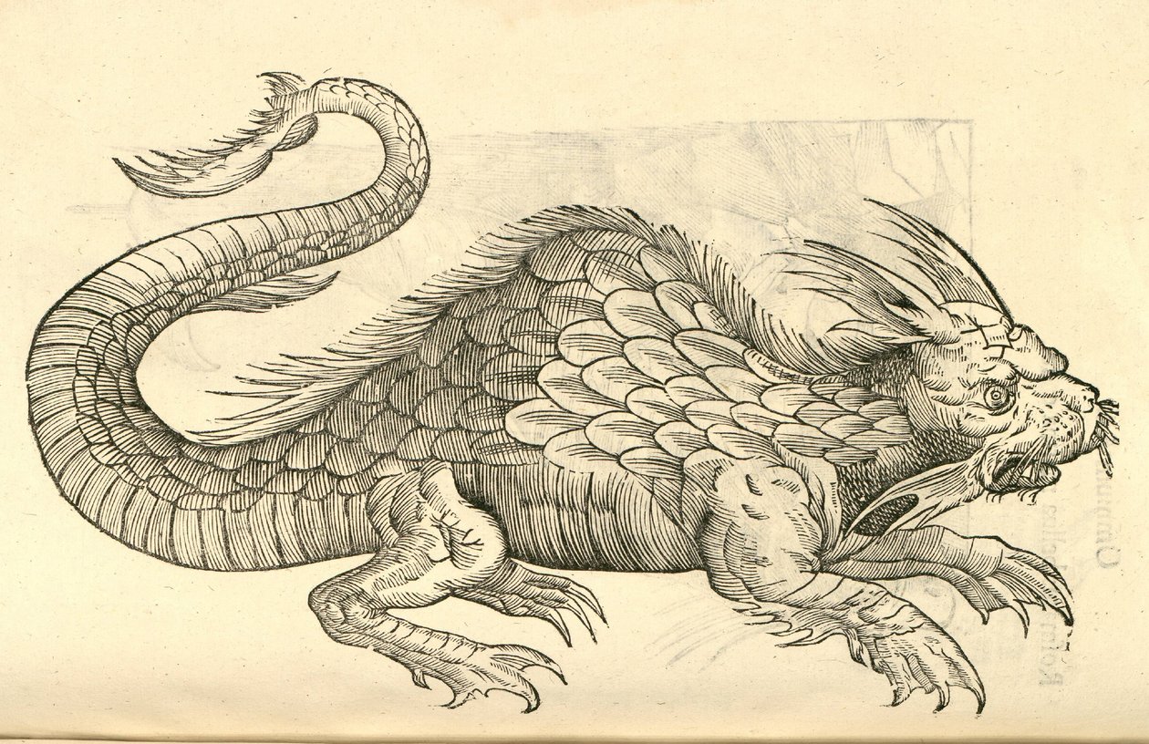 Illustratie van Orobonis Piscis effigies uit Aldrovandis Geschiedenis van Monsters, 1642 door Italian School
