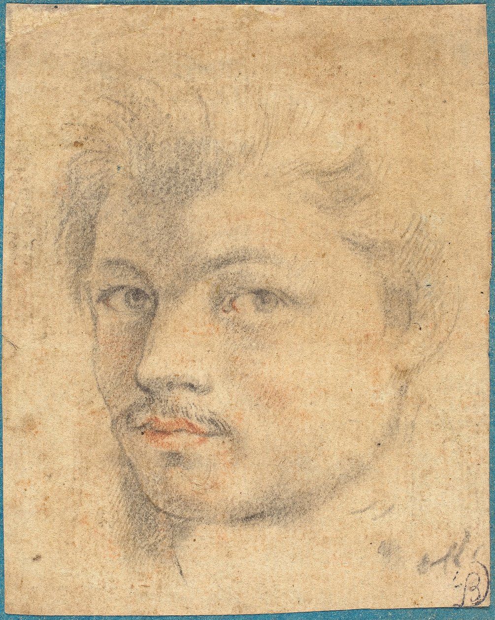 Hoofd van een Man door Italian or French 16th