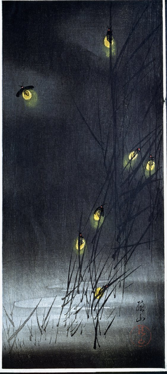 Vuurvliegjes in zomernacht. 1930-1950 (Xylografie en Japanse prent) door Ito Sozan