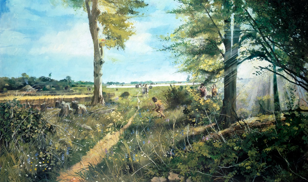 Stonehenge landschap door Ivan Lapper