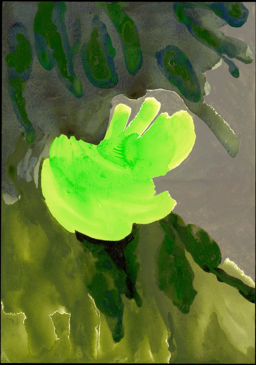 Kensington Gardens Serie: Leaf Cascade, 2007 door Izabella Godlewska de Aranda