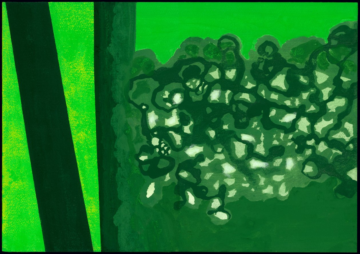 Kensington Gardens Serie: Canopy Shadows, 2007 door Izabella Godlewska de Aranda
