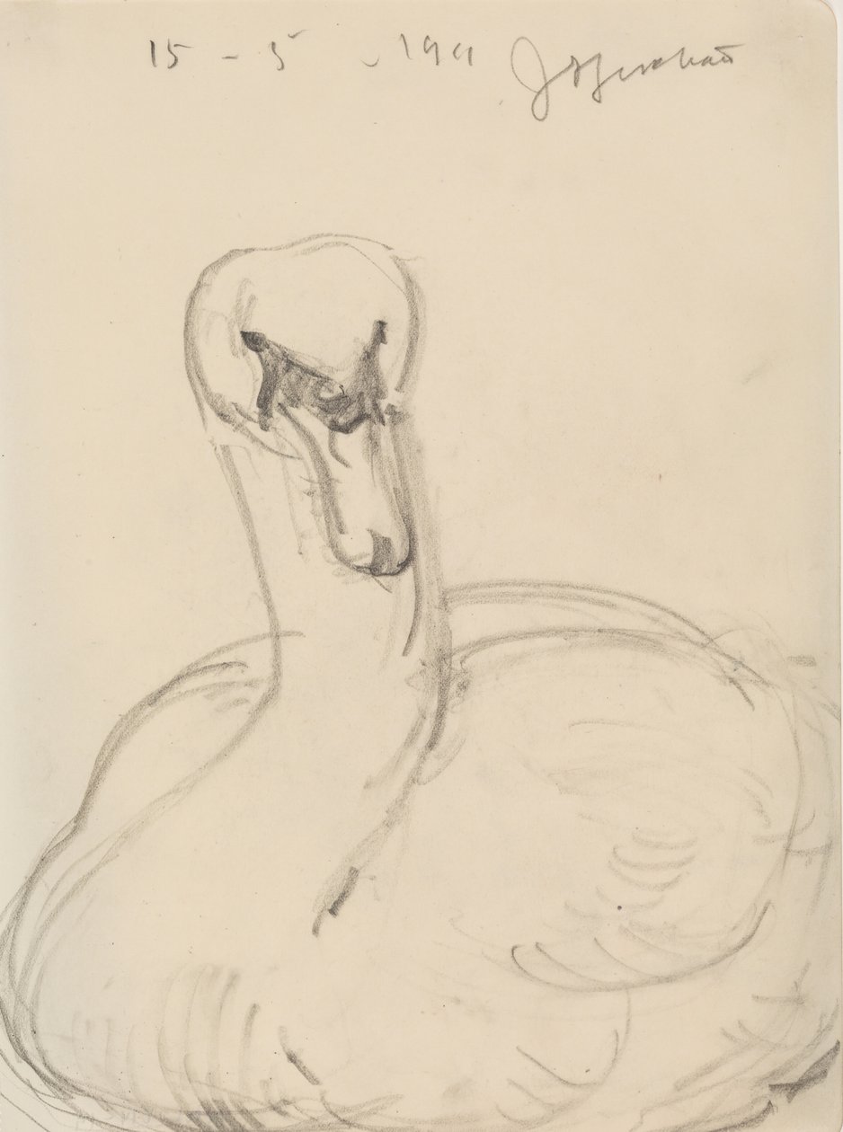 Zwaan door J.A. Jerichau