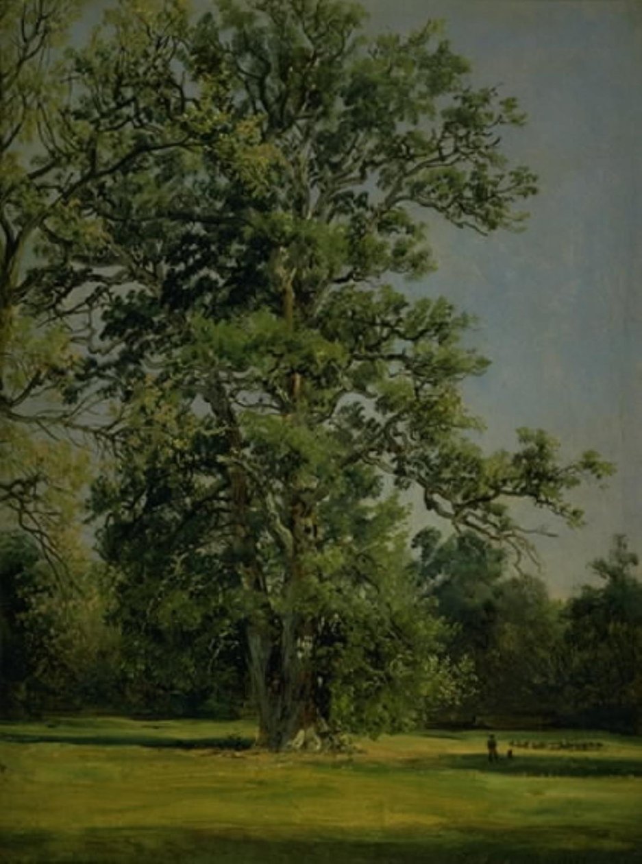 Een Eik. Uitzicht op de tuin bij Wörlitz nabij Dessau door Johan Christian Dahl