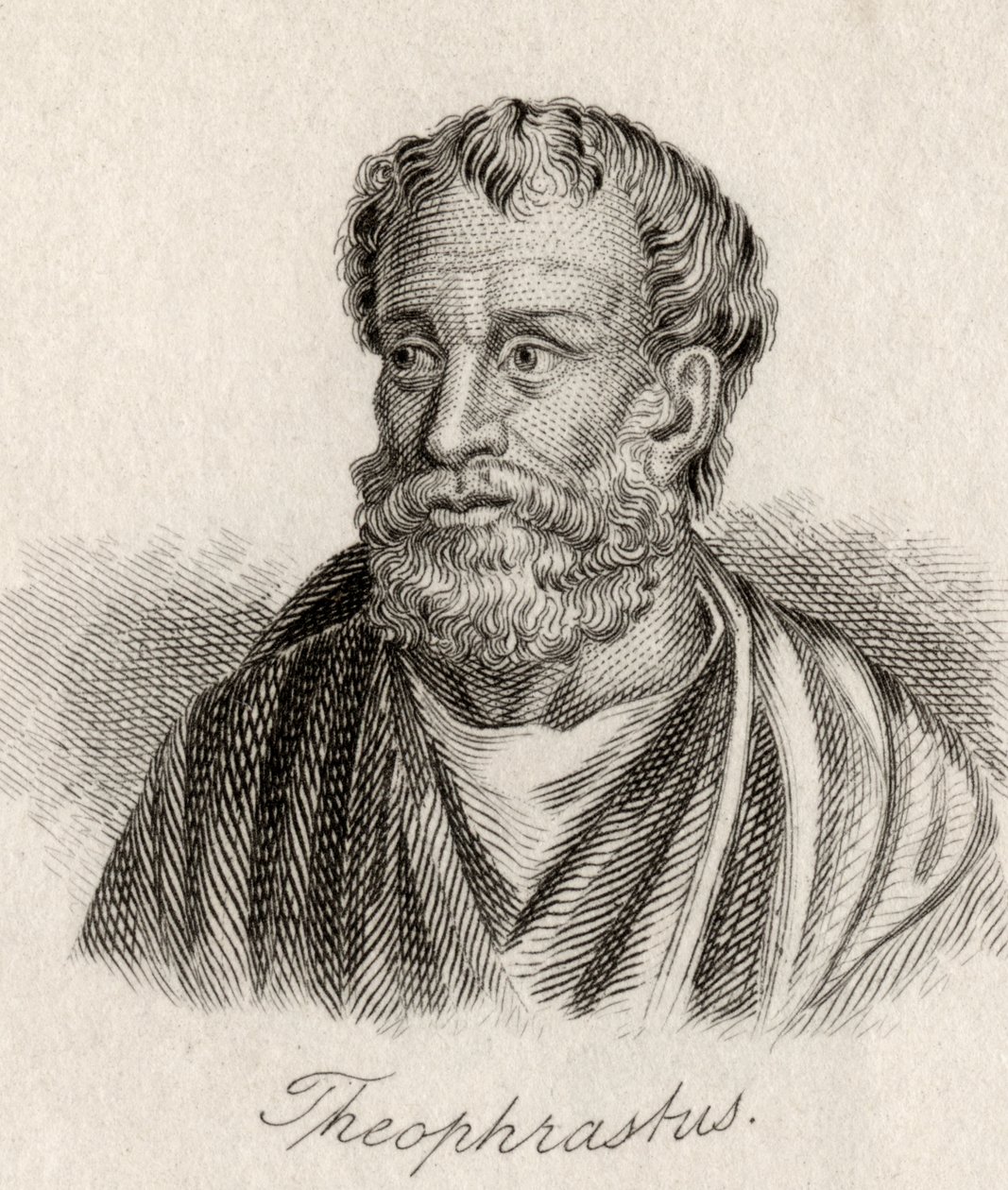 Theophrastus door J.W. Cook