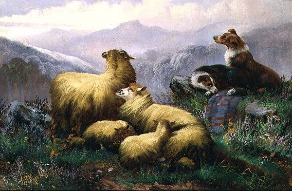 Herdershonden en schapen in de Schotse Hooglanden door J.W. Morris