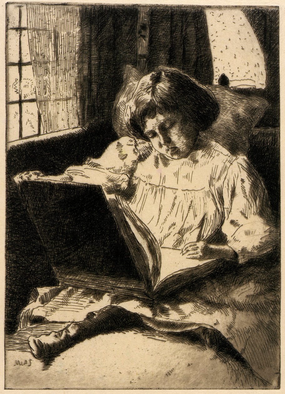 Het prentenboek door J. Alden Weir