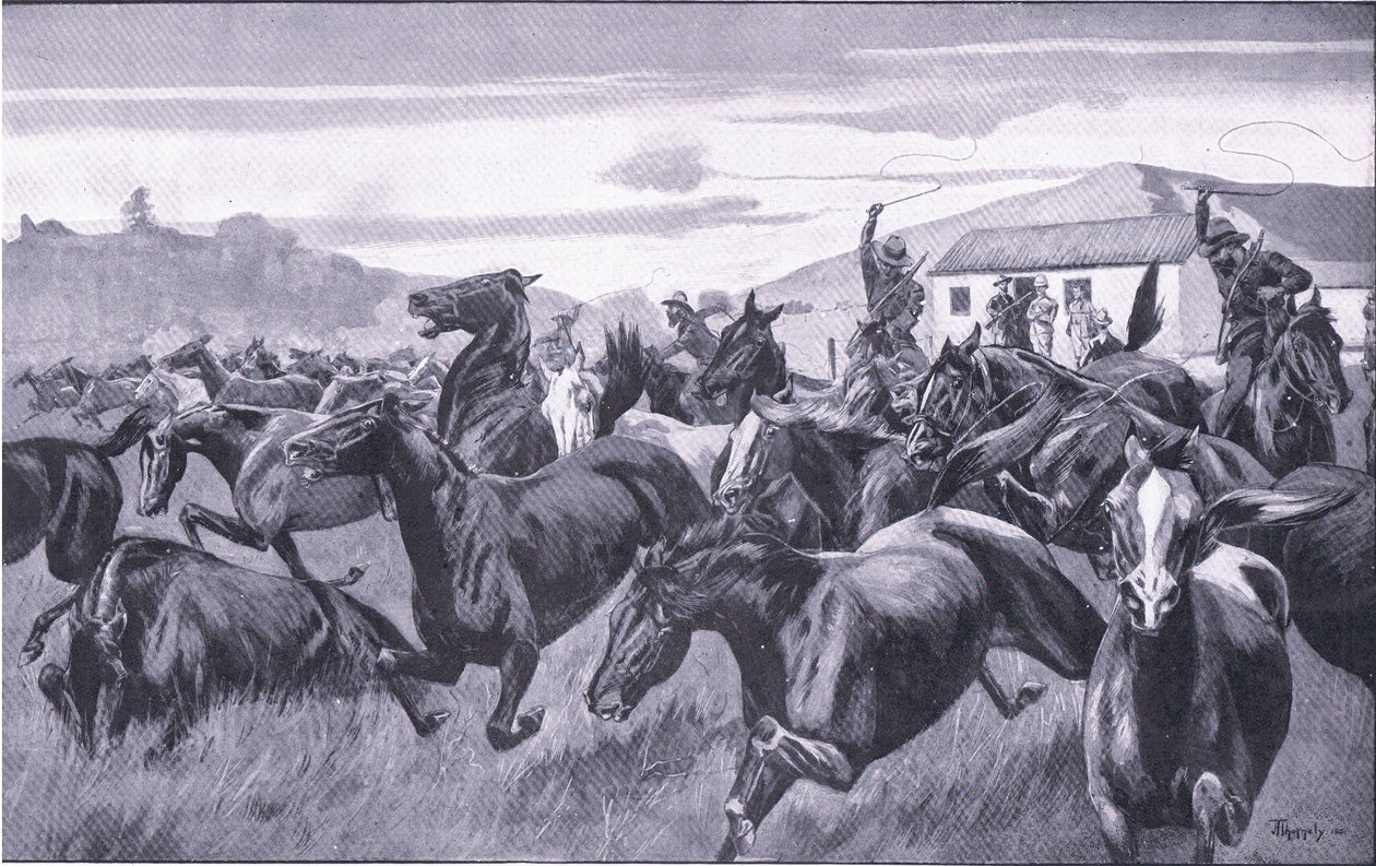 Boeren die het Remount Depot in Braamfontein overvallen, uit After Pretoria: The Guerilla War gepubliceerd door Harmsworth Bros Limited, 1901 door J. H. Thornely