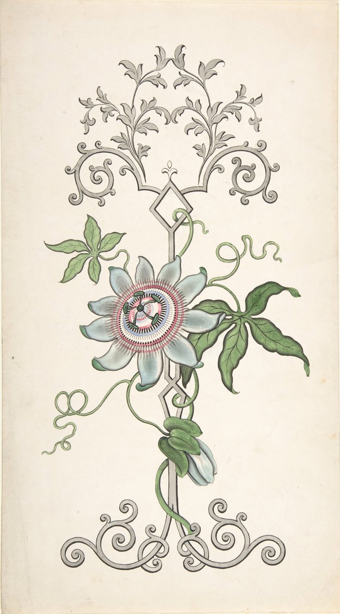 Ontwerp voor paneeldecoratie gecentreerd op een passiebloem door J Hulme