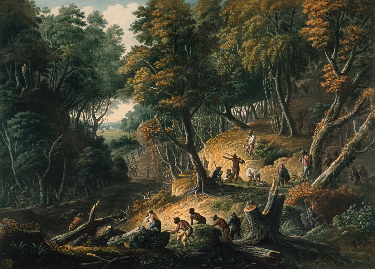  door J. Merigot