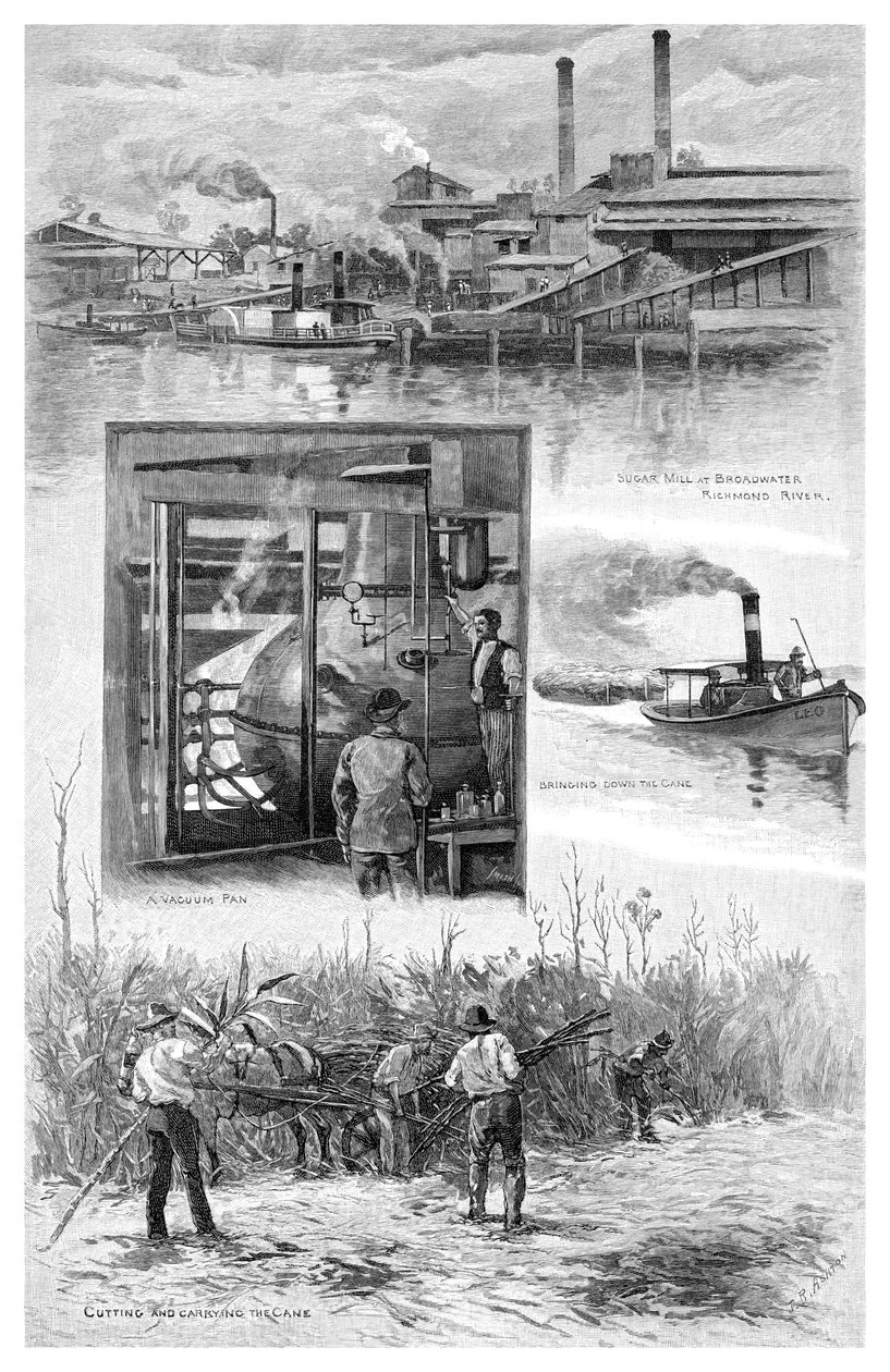 De suikerindustrie, Richmond River, New South Wales, Australië, 1886 door J. R. Ashton