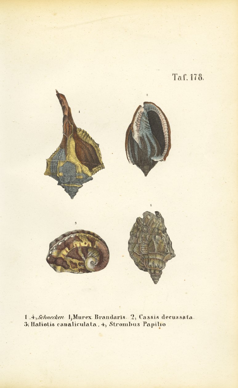  door J. W. Tenhaeff