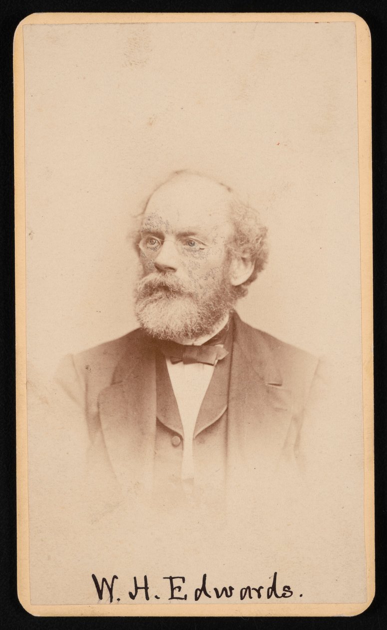 Portret van William Henry Edwards door J and W Vincent