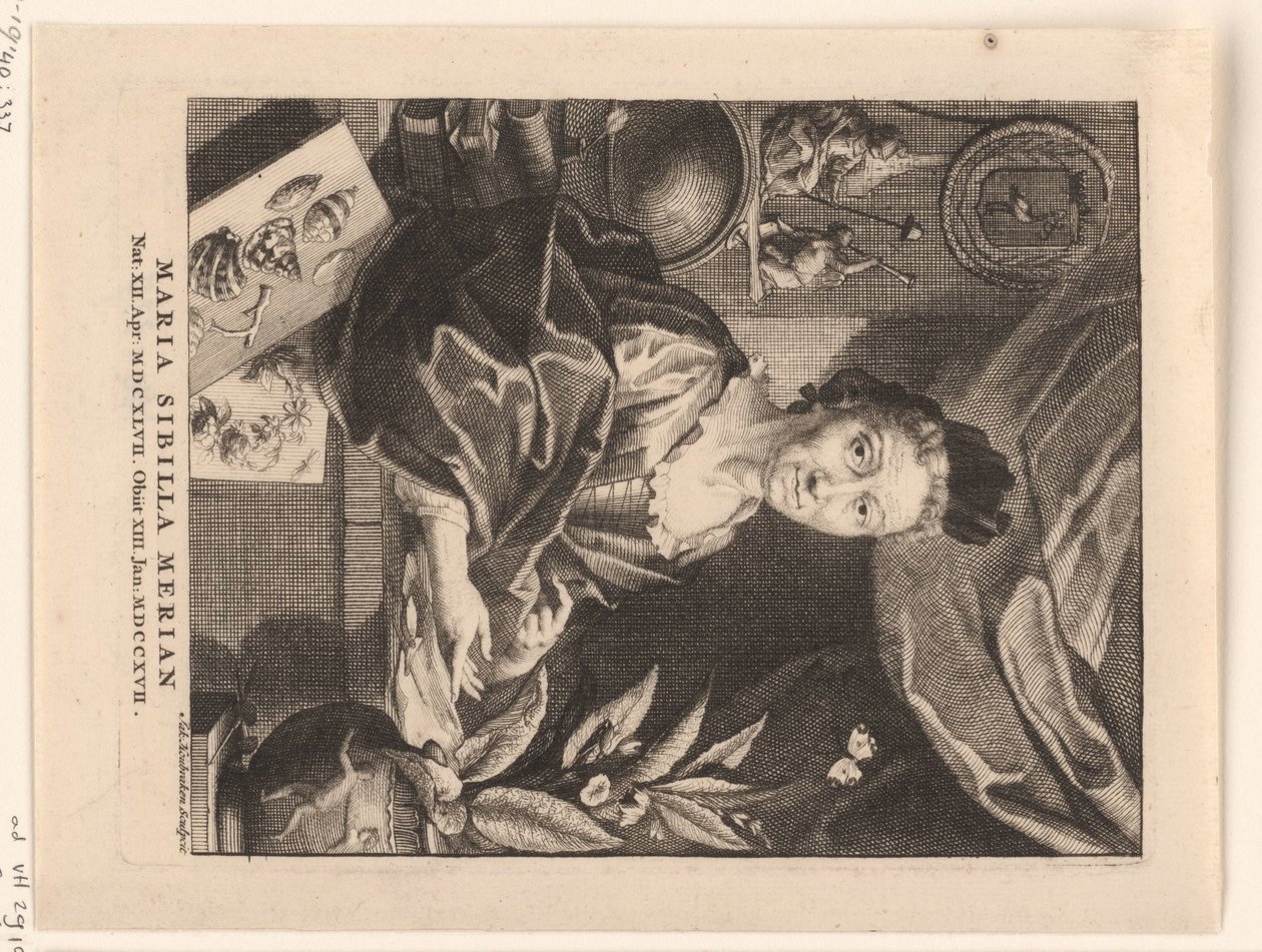 Portret van Maria Sibylla Merian door Jacob Houbraken