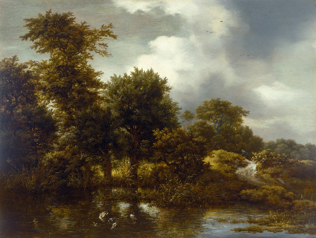 Een bebost landschap met een vijver, late jaren 1640 door Jacob van Ruisdael