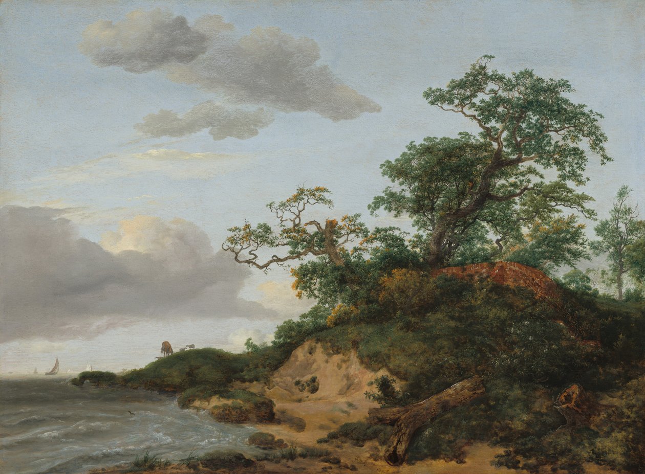  door Jacob Isaaksz. or Isaacksz. van Ruisdael