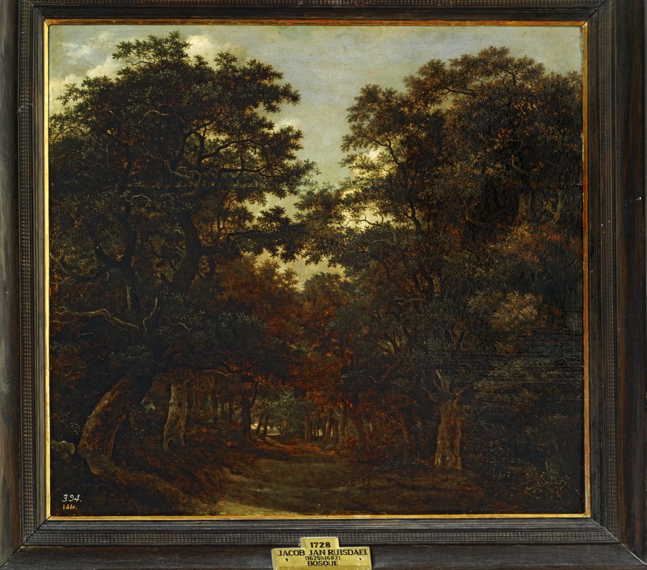 Bos ... door Jacob Isaaksz. or Isaacksz. van Ruisdael