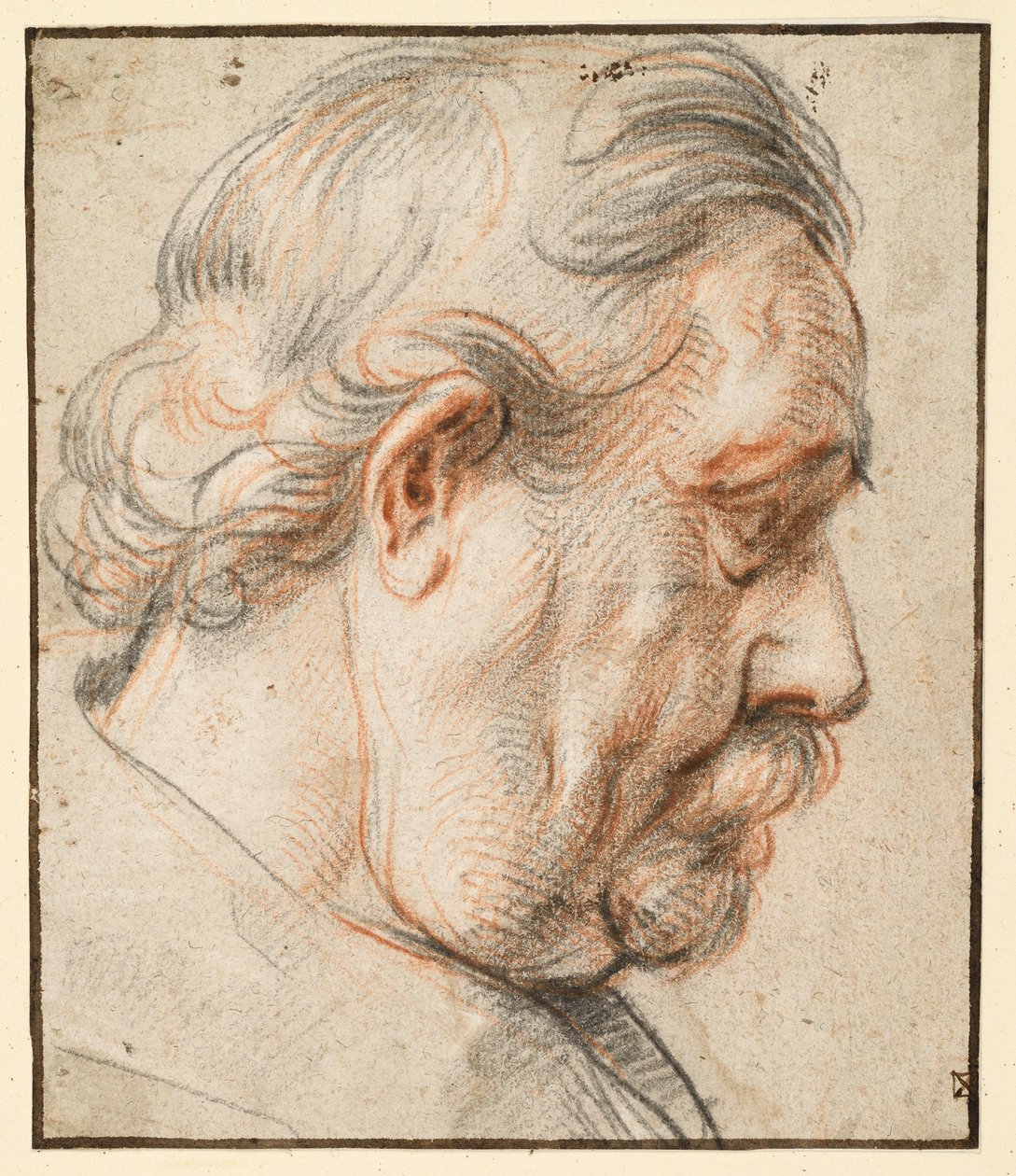 Hoofd van een man in profiel naar rechts door Jacob Jordaens