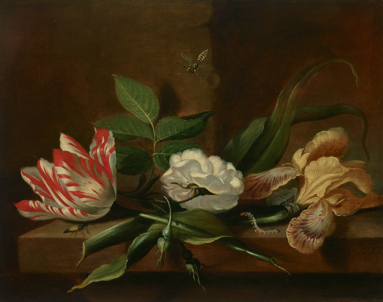Een papegaaitulp, een roos, een iris en insecten op een houten tafel door Jacob Marrel