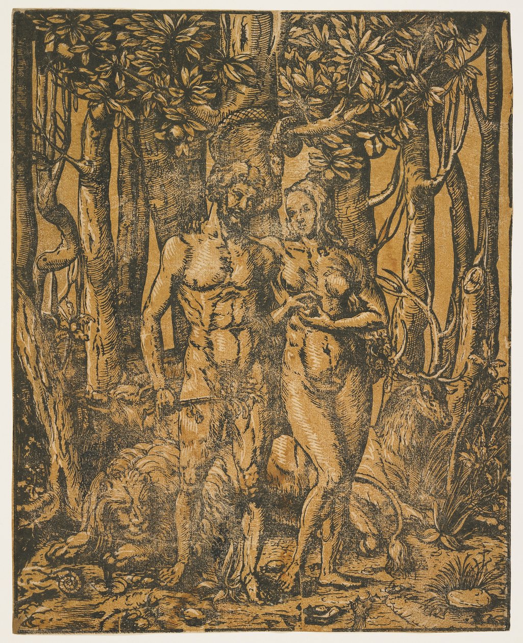 Adam en Eva door Jacob the Elder attr. to Lucius