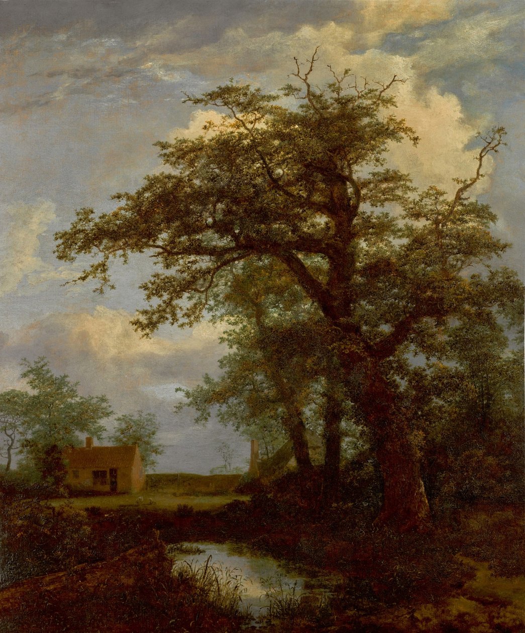 Een bosrijk landschap met een eik, vijver en huizen daarachter door Jacob van Ruisdael