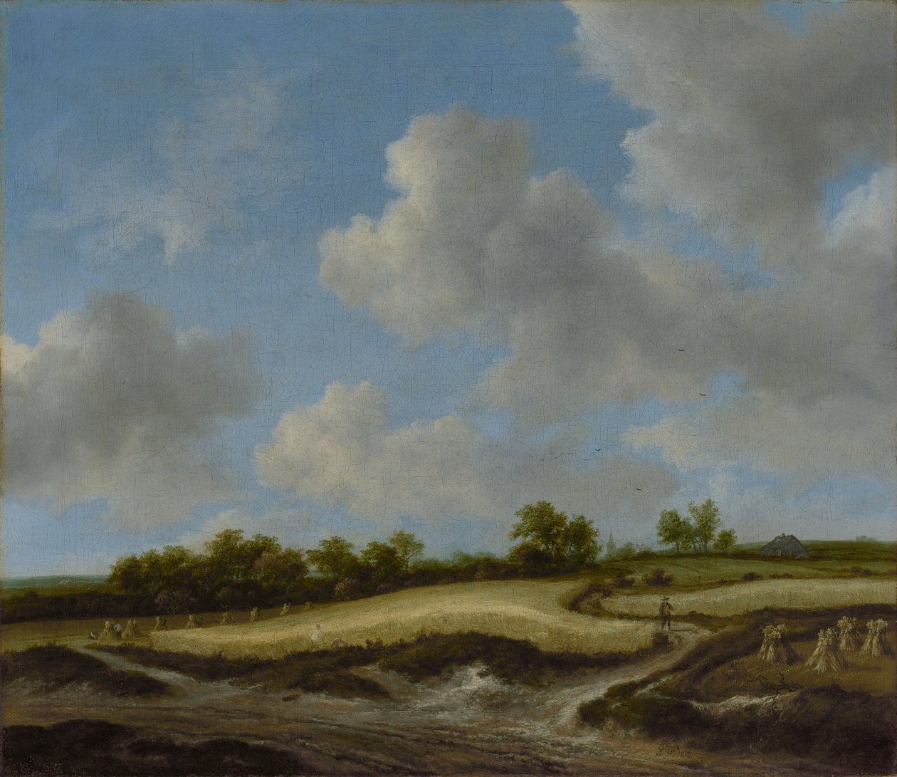 Landschap met een korenveld door Jacob van Ruisdael