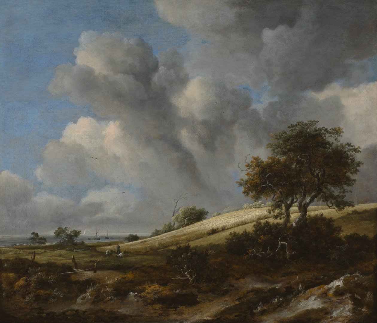 Landschap met een maïsveld bij de zee door Jacob van Ruisdael