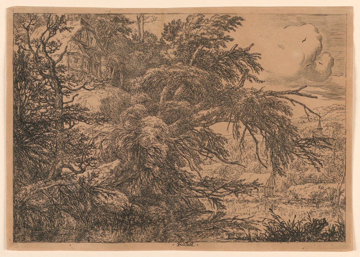 Het rieten huisje op de heuvel door Jacob van Ruisdael