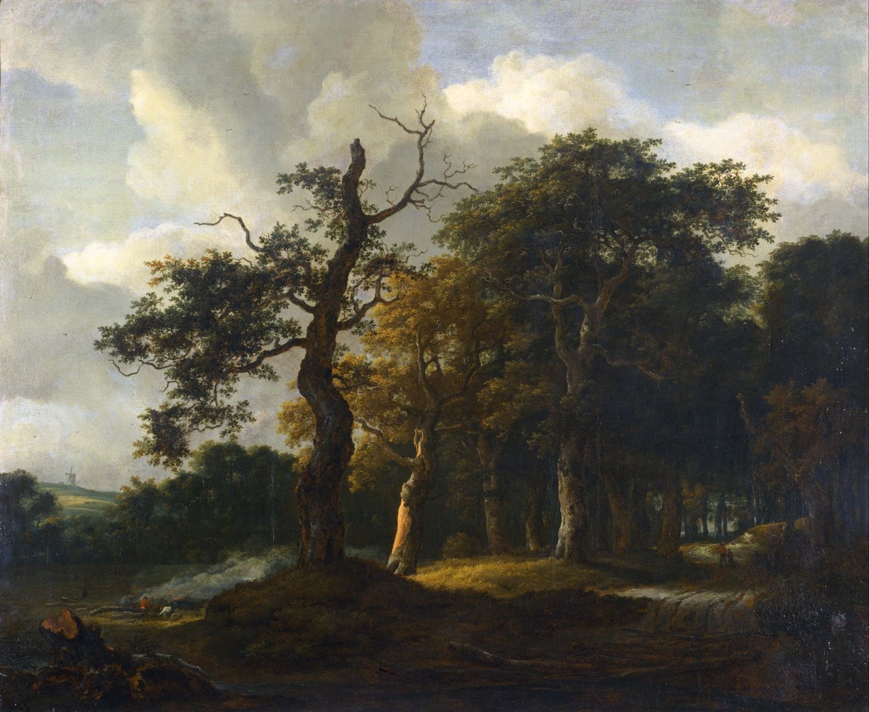 Eiken bospaden door Jacob van Ruisdael