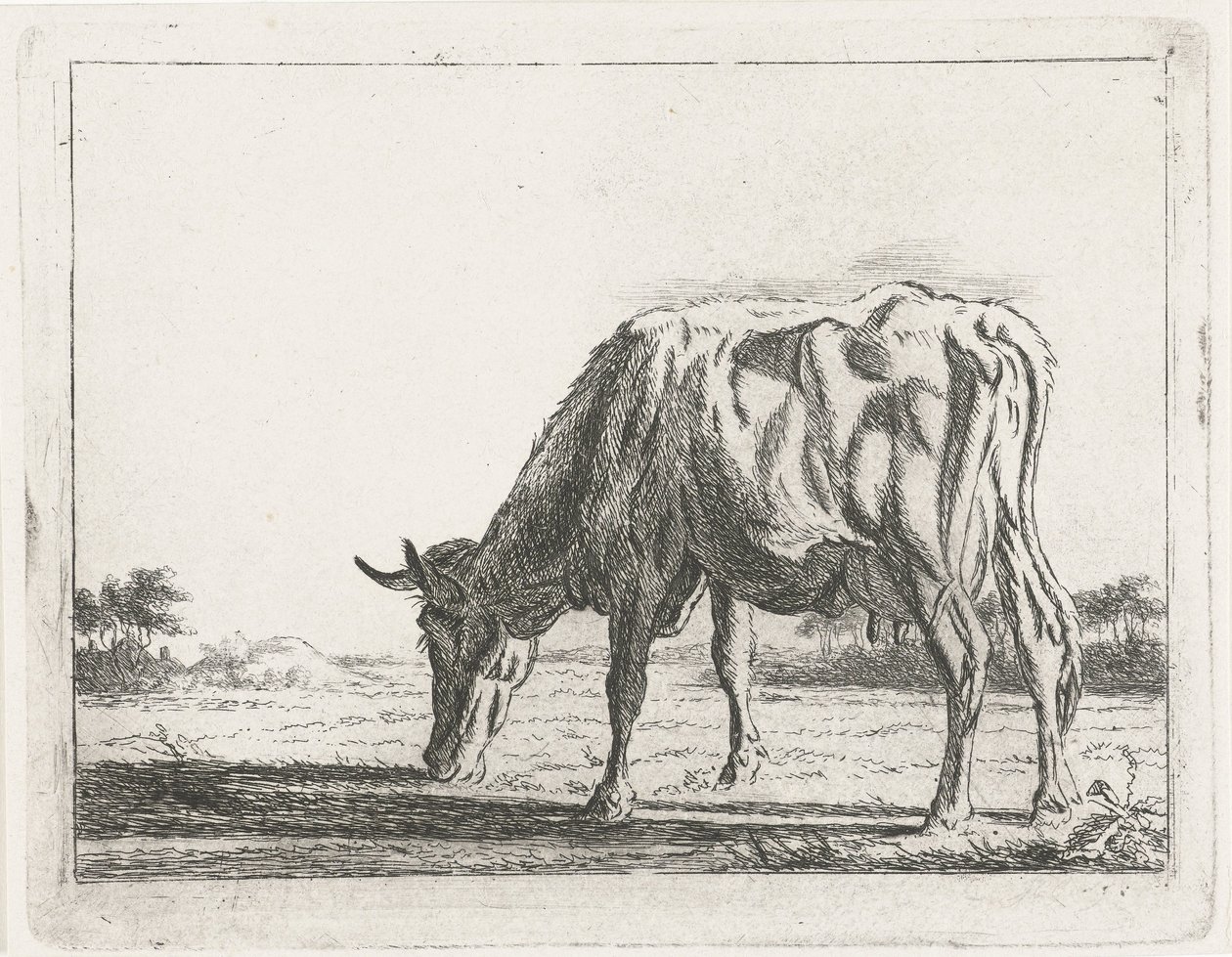 Grazende koe door Jacobus Cornelis Gaal