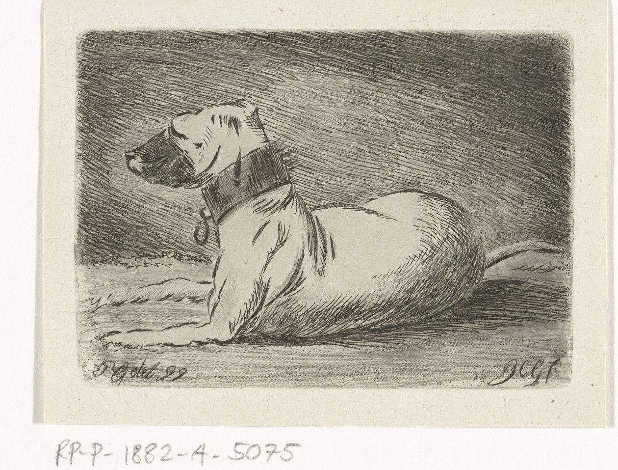 Liggende hond met halsband door Jacobus Cornelis Gaal