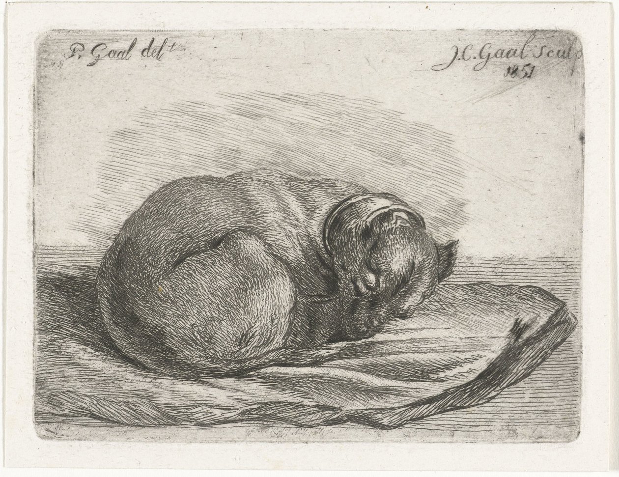 Slapende hond, liggend op een deken door Jacobus Cornelis Gaal