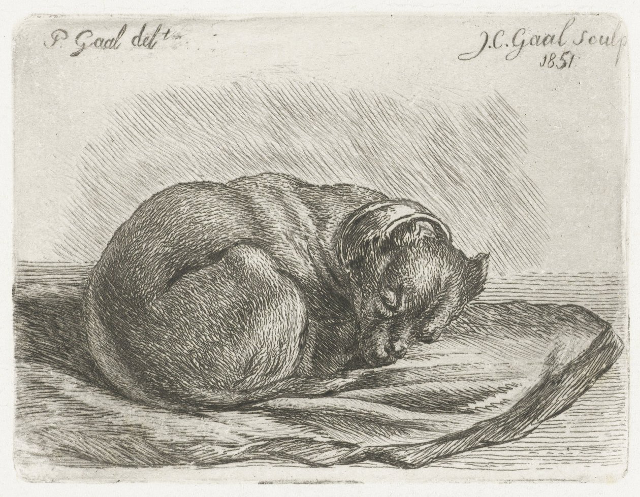 Slapende hond, liggend op een deken door Jacobus Cornelis Gaal