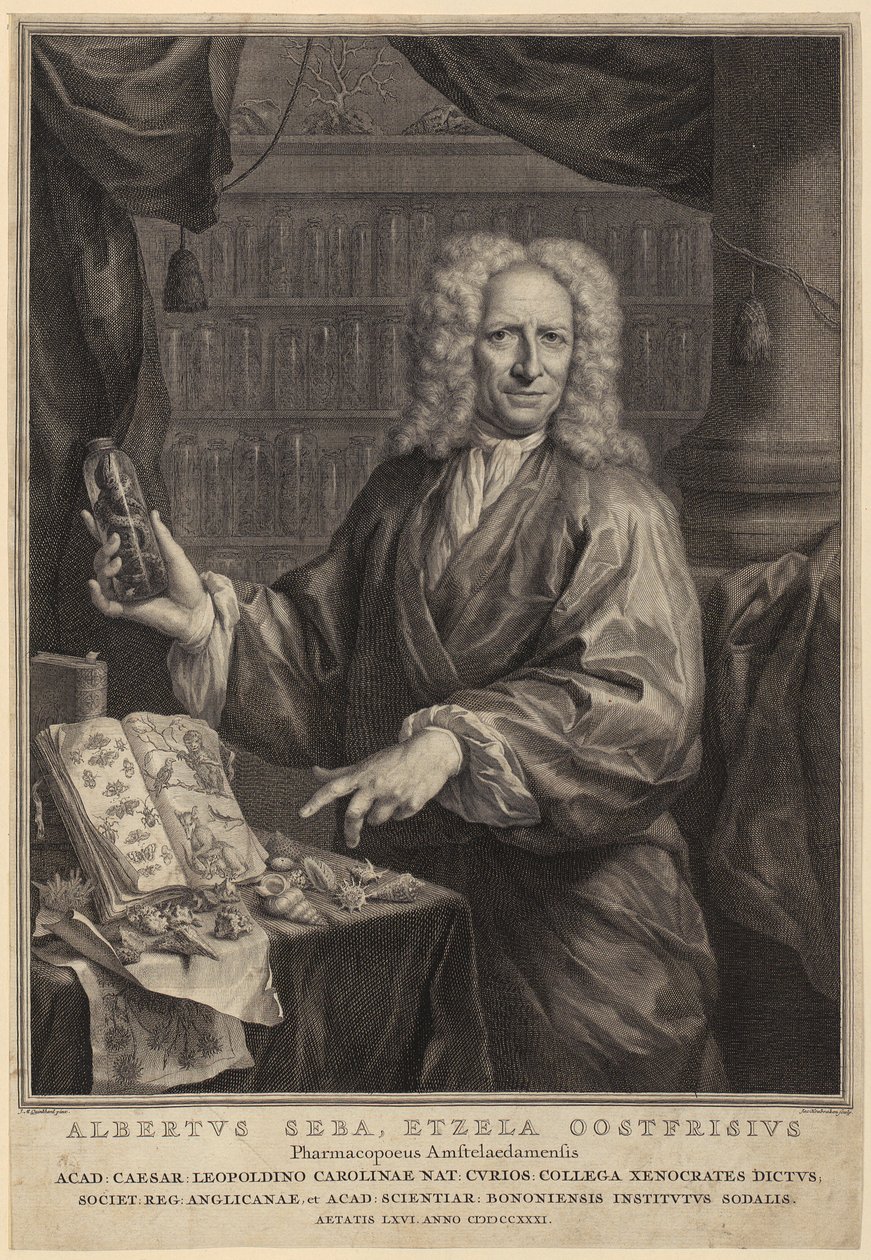 Portret van Albert Seba, apotheker en beroemd verzamelaar van naturalia door Jacobus Houbraken