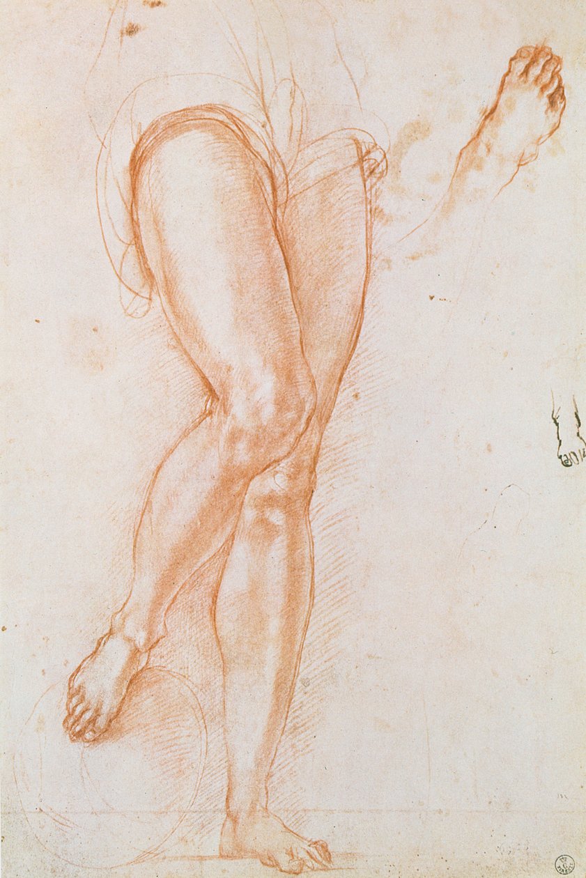 Studie van een paar benen en twee voeten voor een figuur van St. Michael door Jacopo Pontormo
