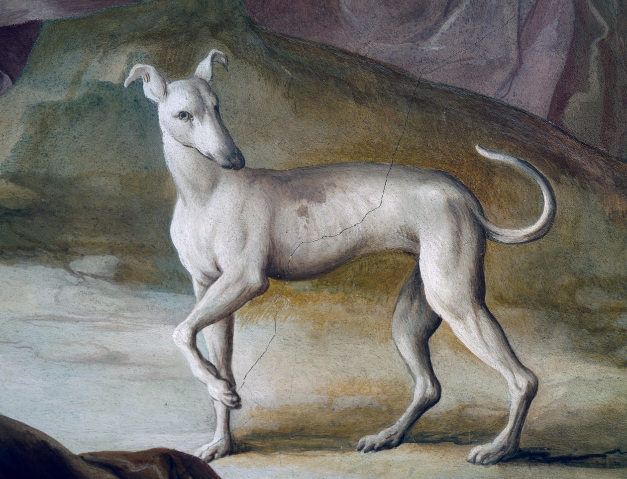 Hond, detail uit fresco door Jacopo Guarana (1720-1808), centrale hal van Villa Contarini, Valnogaredo, Veneto, Italië door Jacopo Guarana