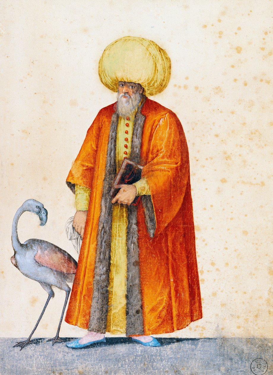 Turkse man met flamingo, tekening door Jacopo Ligozzi (1547-1627) door Jacopo Ligozzi