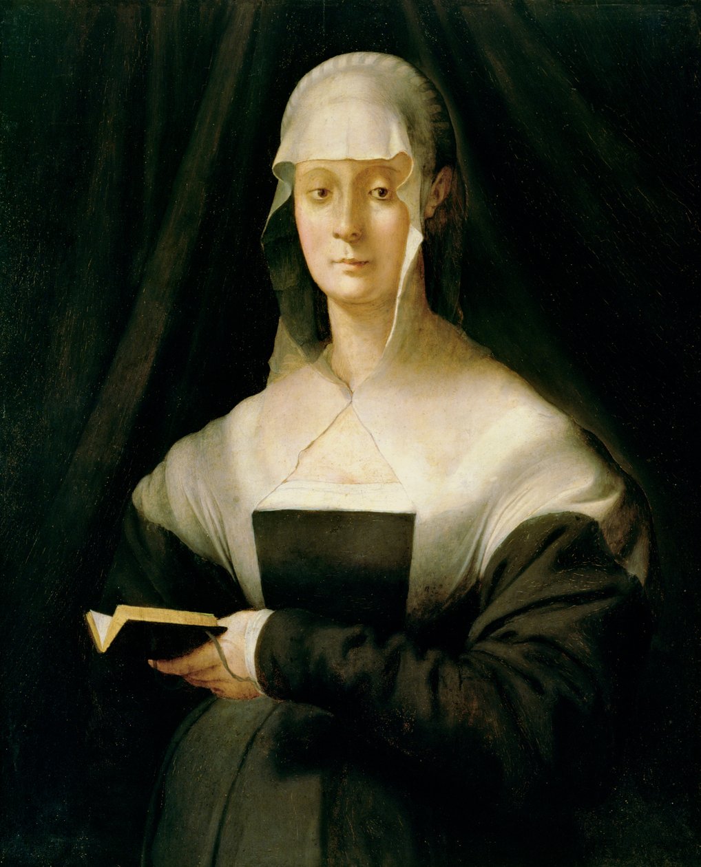 Portret van Maria Salviati, 1543 door Jacopo Pontormo