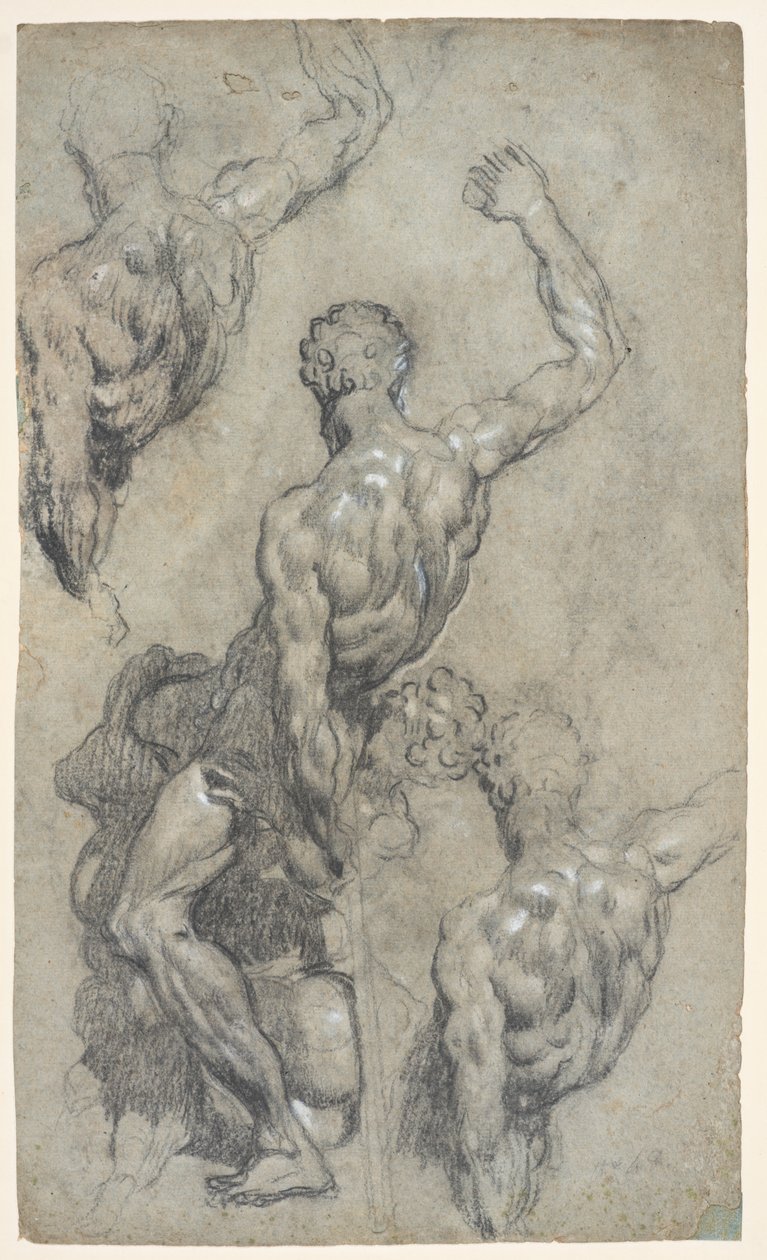 Studies van Michelangelo