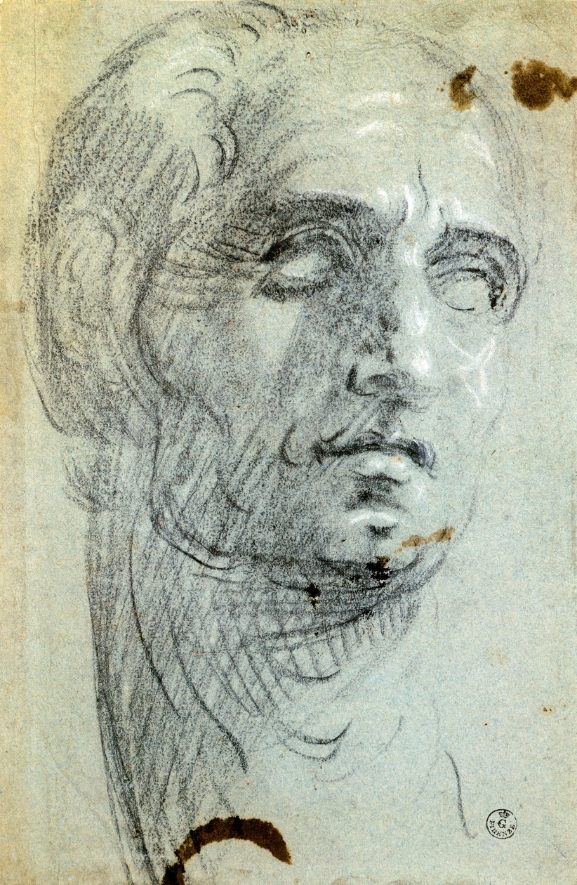 Mannelijk hoofd door Jacopo Robusti Tintoretto