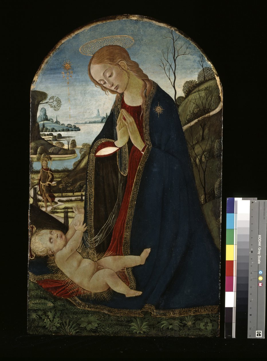 Madonna die het Christuskind aanbidt door Jacopo del Sellaio
