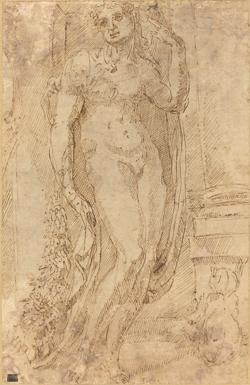 Allegorisch Figuur met een Kat en een Varken door Jacopo di Giovanni