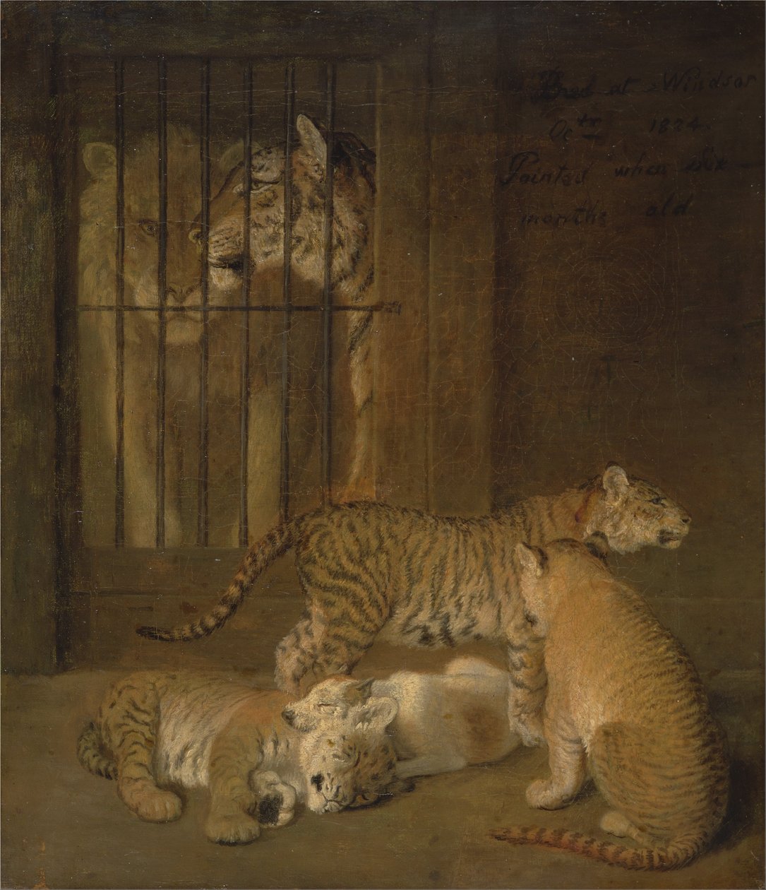 Groep welpen gefokt tussen een leeuw en een tijgerin door Jacques-Laurent Agasse